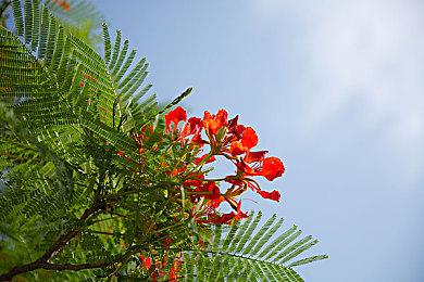 《祝你好死》发行商Red Art Games遭受大规模网络攻击